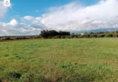 Non-developable land for sale on España, Llubí, ref: TR315927 photo
