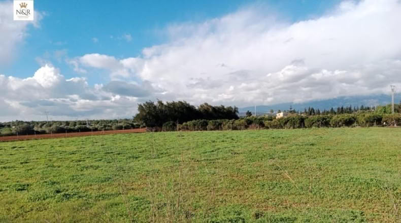 Balearic Islands - Llubí - 3500m2