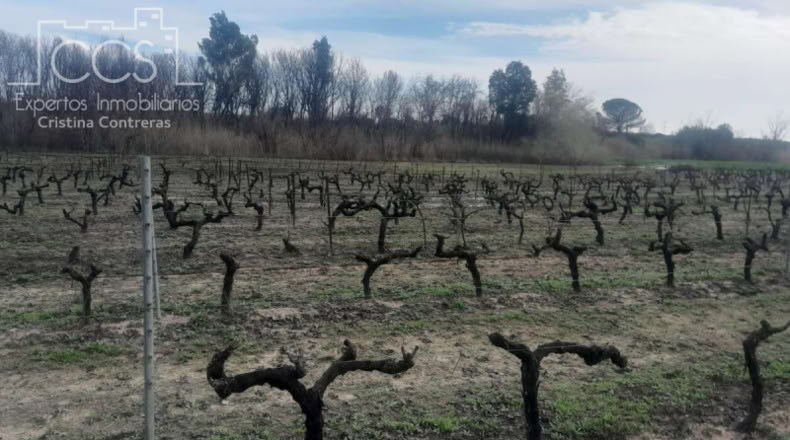 Huelva - Almonte - 19123m2