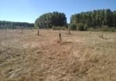 Suelo urbano en venta en la España, Cabañas Raras, ref: TR347323 foto