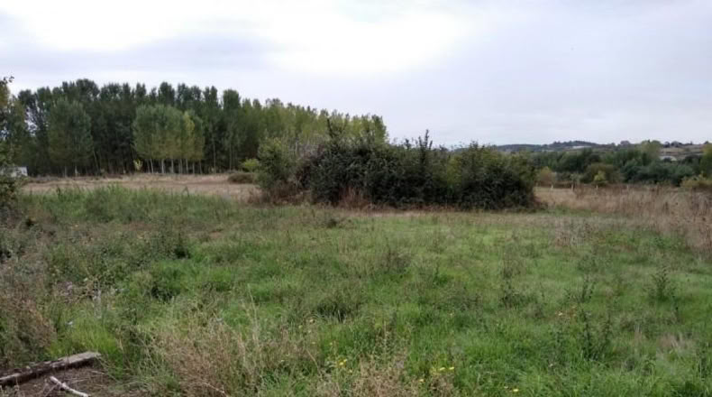 León - Cabañas Raras - 507m2