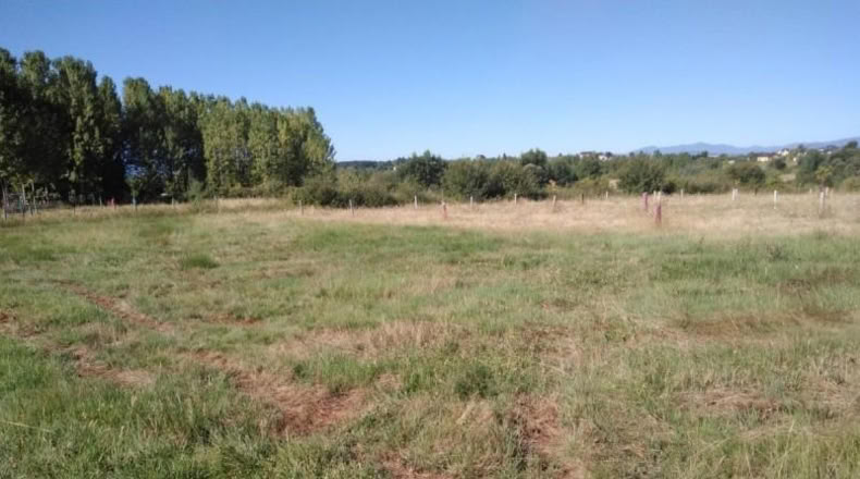 León - Cabañas Raras - 507m2