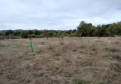 Suelo urbano en venta en la España, Cabañas Raras, ref: TR347323 foto