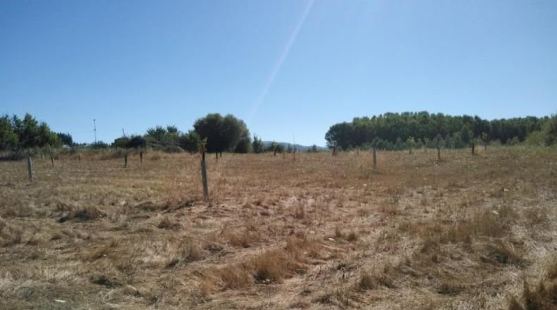 León - Cabañas Raras - 507m2