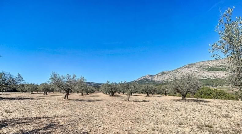 Alicante - Castalla - 7293m2