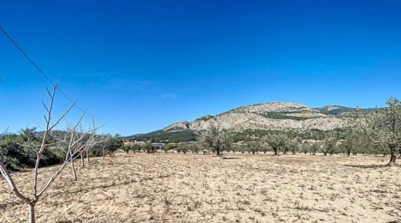 Alicante - Castalla - 7293m2