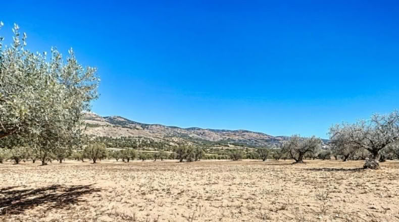 Alicante - Castalla - 7293m2