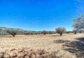 Terreny no urbanitzable en venda a la España, Castalla, ref.: TR218774 foto