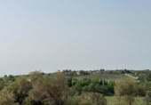 Non-developable land for sale on España, Morata de Tajuña, ref: TR218900 photo
