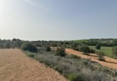 Non-developable land for sale on España, Morata de Tajuña, ref: TR218900 photo