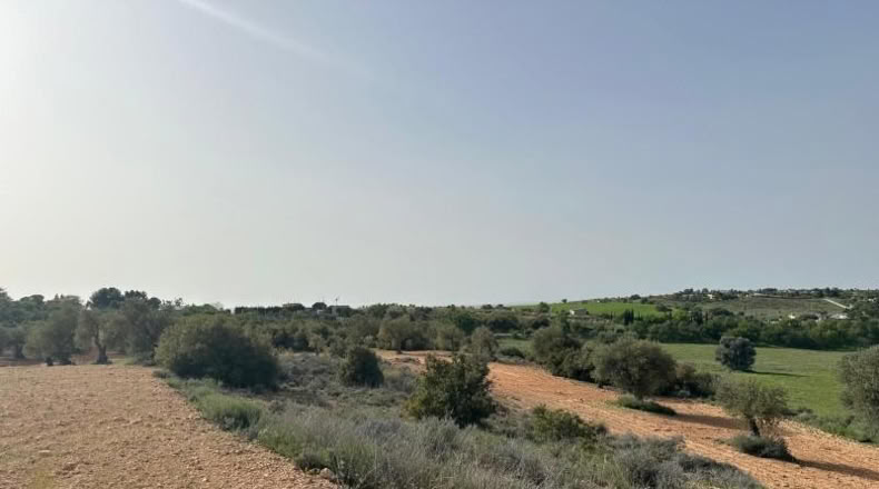Comunidad de Madrid - Morata de Tajuña - 5866m2