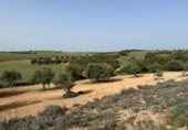 Non-developable land for sale on España, Morata de Tajuña, ref: TR218900 photo