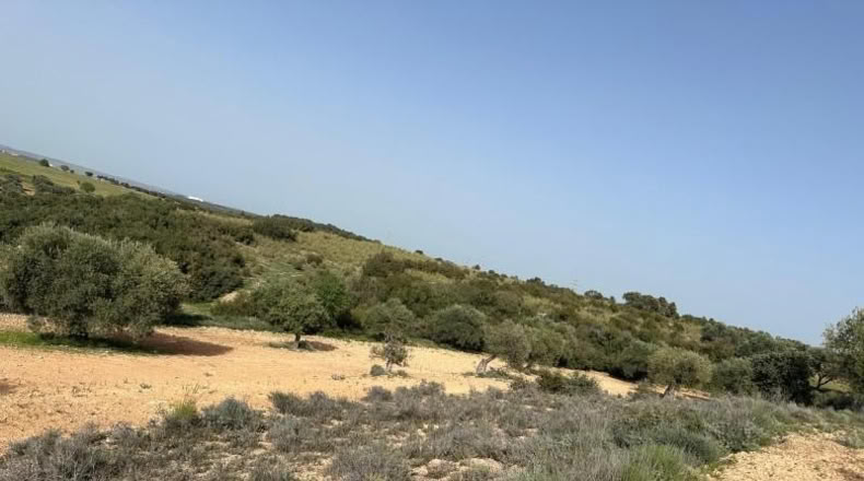 Comunidad de Madrid - Morata de Tajuña - 5866m2