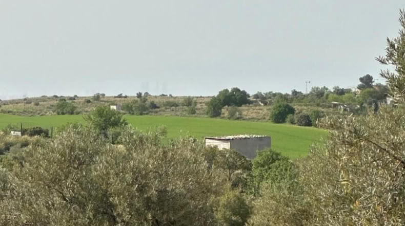 Comunidad de Madrid - Morata de Tajuña - 5866m2