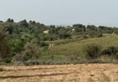 Non-developable land for sale on España, Morata de Tajuña, ref: TR218900 photo
