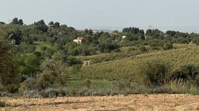 Comunidad de Madrid - Morata de Tajuña - 5866m2