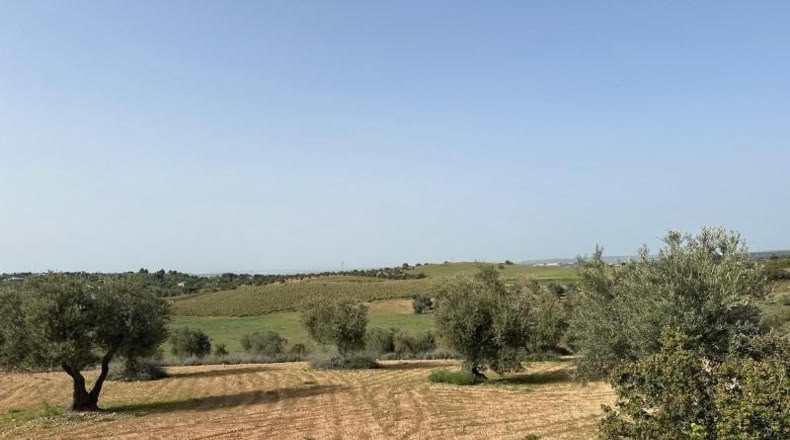 Comunidad de Madrid - Morata de Tajuña - 5866m2