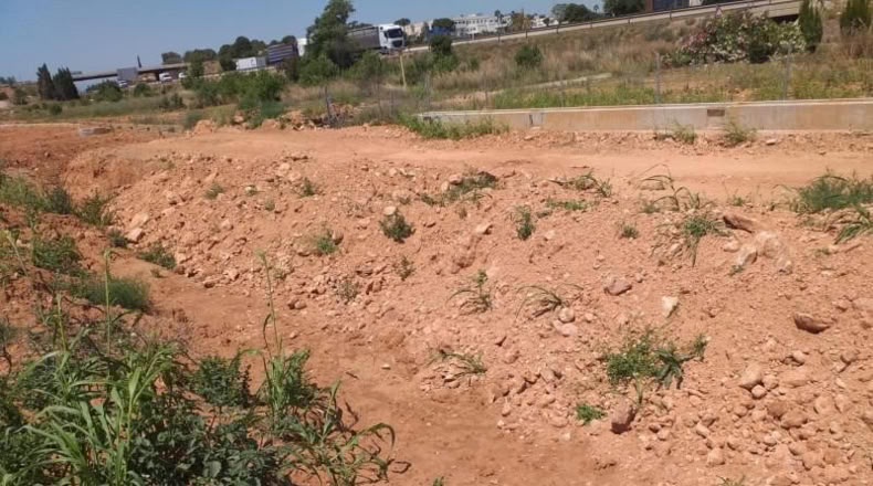 Valencia - Moncada - 5487m2