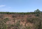 Parcel·la urbanitzable en venda a la España, Montcada, ref.: TR245856 foto
