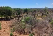 Parcel·la urbanitzable en venda a la España, Montcada, ref.: TR245856 foto