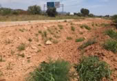 Parcel·la urbanitzable en venda a la España, Montcada, ref.: TR245856 foto