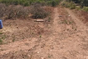 Foto 8