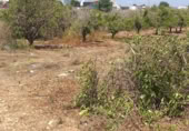 Parcel·la urbanitzable en venda a la España, Montcada, ref.: TR245856 foto