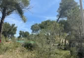 Land suitable for development for sale on España, Cabra del Camp, ref: TR131073 photo