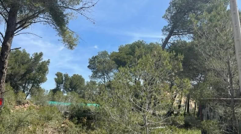 Tarragona - Cabra del Camp - 693m2