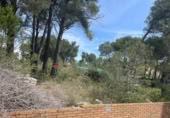 Land suitable for development for sale on España, Cabra del Camp, ref: TR131073 photo