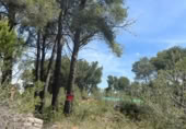 Land suitable for development for sale on España, Cabra del Camp, ref: TR131073 photo