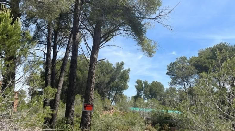 Tarragona - Cabra del Camp - 693m2