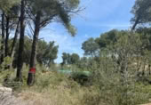 Land suitable for development for sale on España, Cabra del Camp, ref: TR131073 photo
