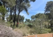 Land suitable for development for sale on España, Cabra del Camp, ref: TR131073 photo