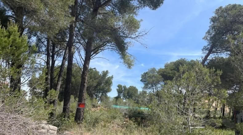 Tarragona - Cabra del Camp - 693m2