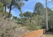 Land suitable for development for sale on España, Cabra del Camp, ref: TR131073 photo