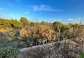 Terreno no urbanizable en venta en la España, Castellón de la Plana, ref: TR125751 foto
