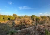 Terreno no urbanizable en venta en la España, Castellón de la Plana, ref: TR125751 foto