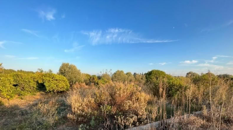Castellón - Castelló de la Plana - 3013m2