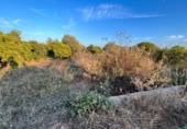 Terreno no urbanizable en venta en la España, Castellón de la Plana, ref: TR125751 foto