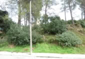 Sòl urbà en venda a la España, Castellgalí, ref.: TR165834 foto