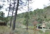 Sòl urbà en venda a la España, Castellgalí, ref.: TR165834 foto