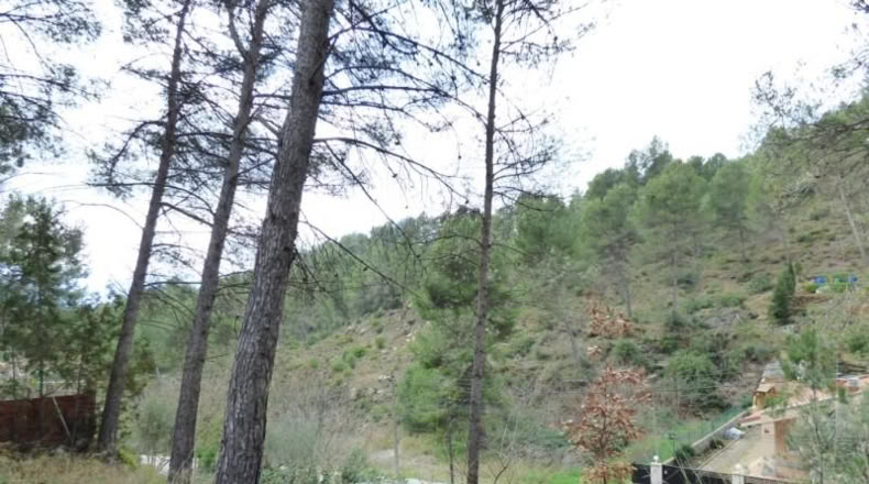 Barcelona - Castellgalí - 551m2