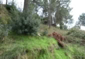 Sòl urbà en venda a la España, Castellgalí, ref.: TR165834 foto