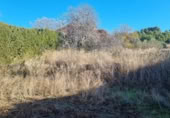 Non-developable land for sale on España, San Mateo de Gállego, ref: TR364328 photo