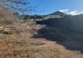 Non-developable land for sale on España, San Mateo de Gállego, ref: TR364328 photo