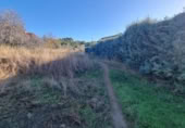 Non-developable land for sale on España, San Mateo de Gállego, ref: TR364328 photo