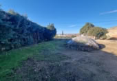 Non-developable land for sale on España, San Mateo de Gállego, ref: TR364328 photo