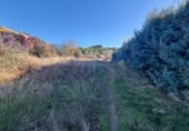 Non-developable land for sale on España, San Mateo de Gállego, ref: TR364328 photo