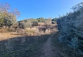 Non-developable land for sale on España, San Mateo de Gállego, ref: TR364328 photo